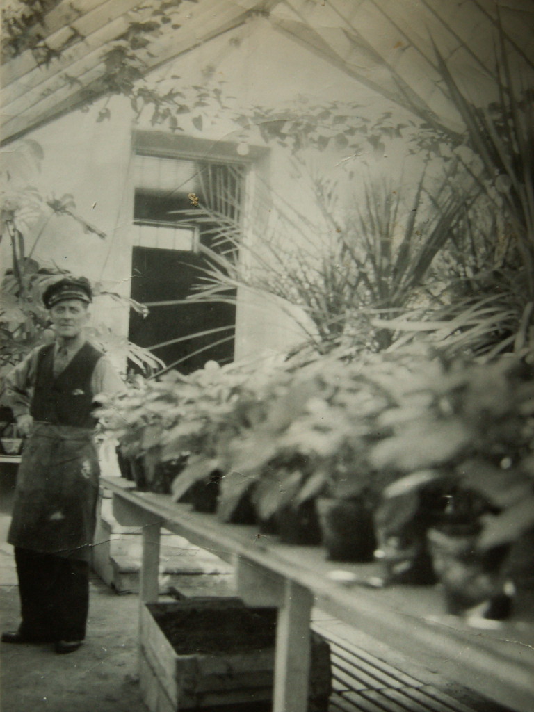 KONICA MINOLTA DIGITAL CAMERA